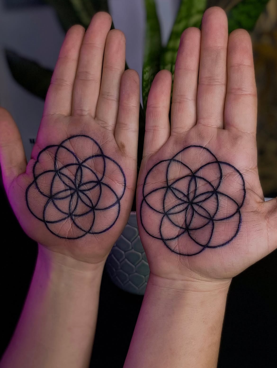 Illustrative tattoo piece by Sunches at Sage Tattoo Studio Tel Aviv